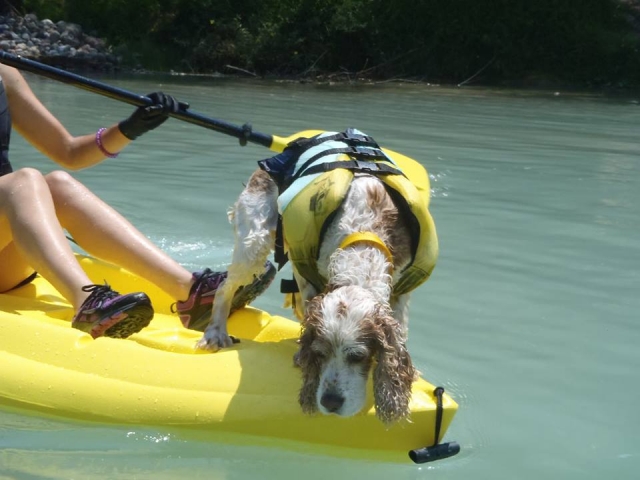 Kayakeando con amigos